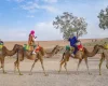 cammellata nel deserto di Agafay marocco, offerte viaggio marrakech cammellata nel deserto di Agafay marocco, offerte viaggio marrakech