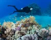 Sharm El Luli Snorkeling Sharm El Luli Snorkeling
