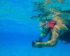 Sharm El Luli Snorkeling Sharm El Luli Snorkeling