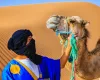 Tour Marocco Città Imperiali e Deserto Merzouga 9 Giorni Tour Marocco Città Imperiali e Deserto Merzouga 9 Giorni