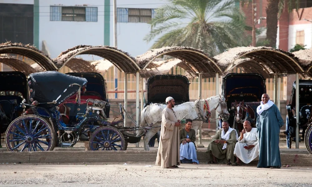 Pferdekutschen mit Kutschern warten am Tempeleingang in Edfu