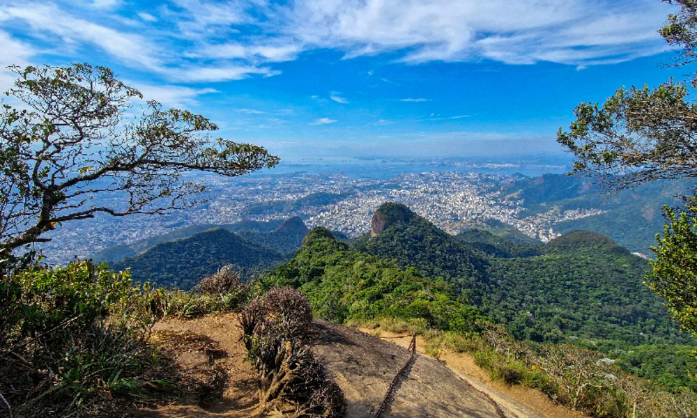 Tijuca Forest