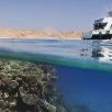 Sharm el Sheik