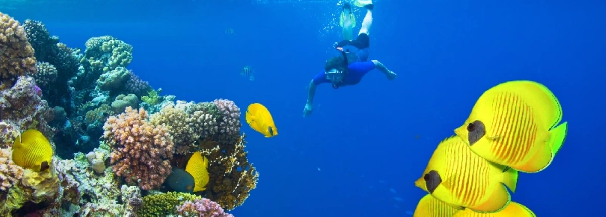 Cose Da Fare A Sharm El Sheikh | Sharm El Sheikh Cose Da Vedere