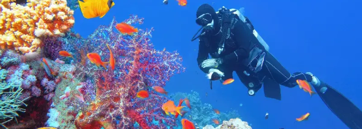 Le Spiagge di Marsa Alam: Un Paradiso da Scoprire