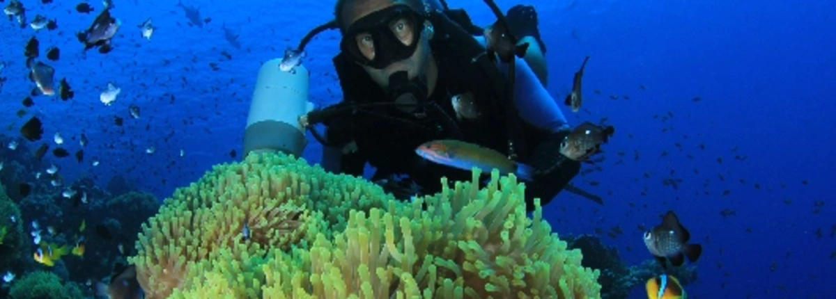marsa alam egitto, marsa alam cosa vedere