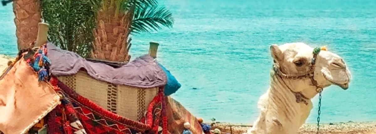 meteo marsa alam, clima marsa alam