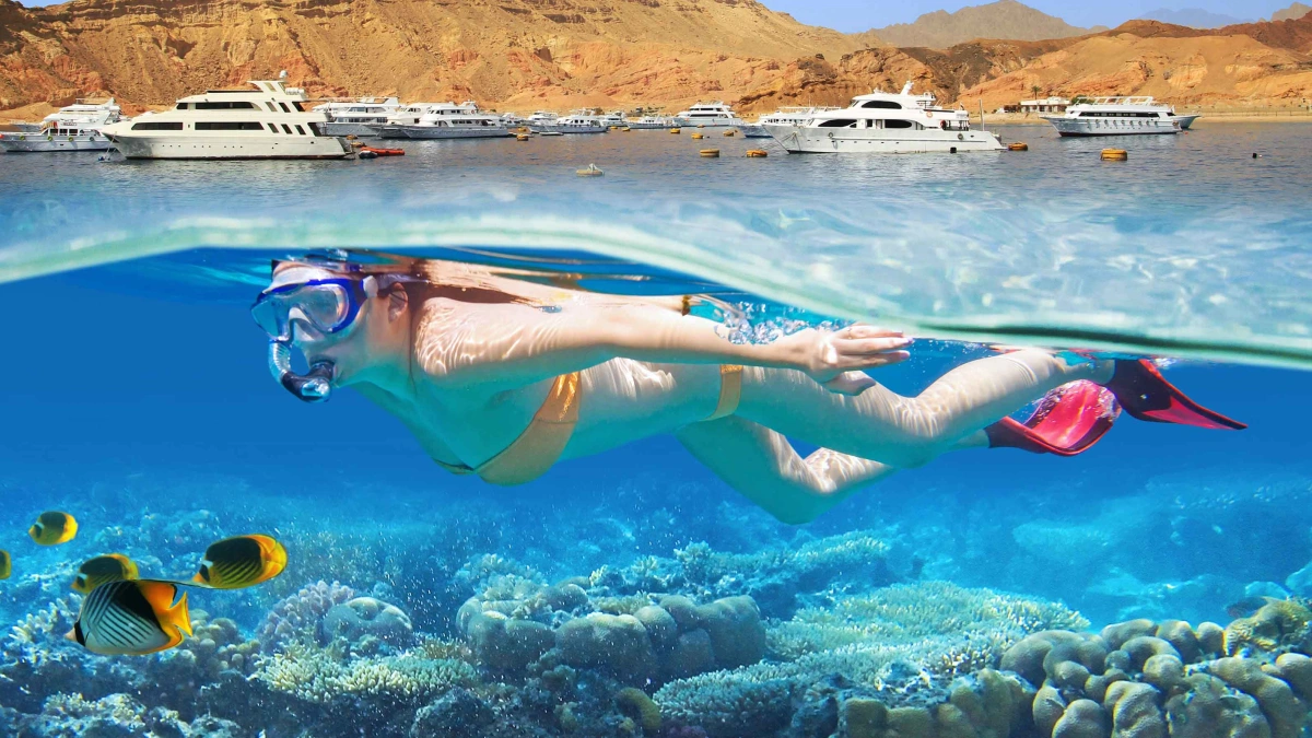 Das Beste von Sharm El Sheikh