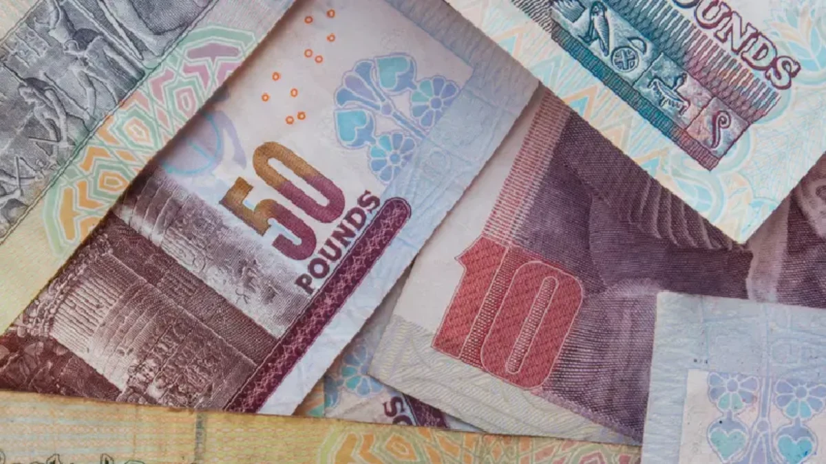 Hintergrund verschiedener ägyptischer Pfund-Banknoten. Ägyptische Währung
