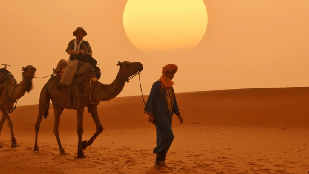 Kamelkarawane in der Sahara.
