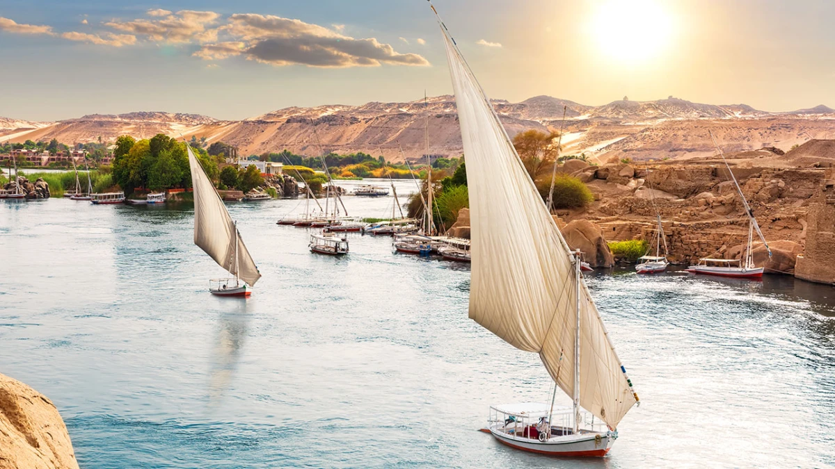 Segelboote (Feluccas) auf dem Nil in Ägypten bei Sonnenuntergang, grünes Ufer links, Wüstenhügel rechts.