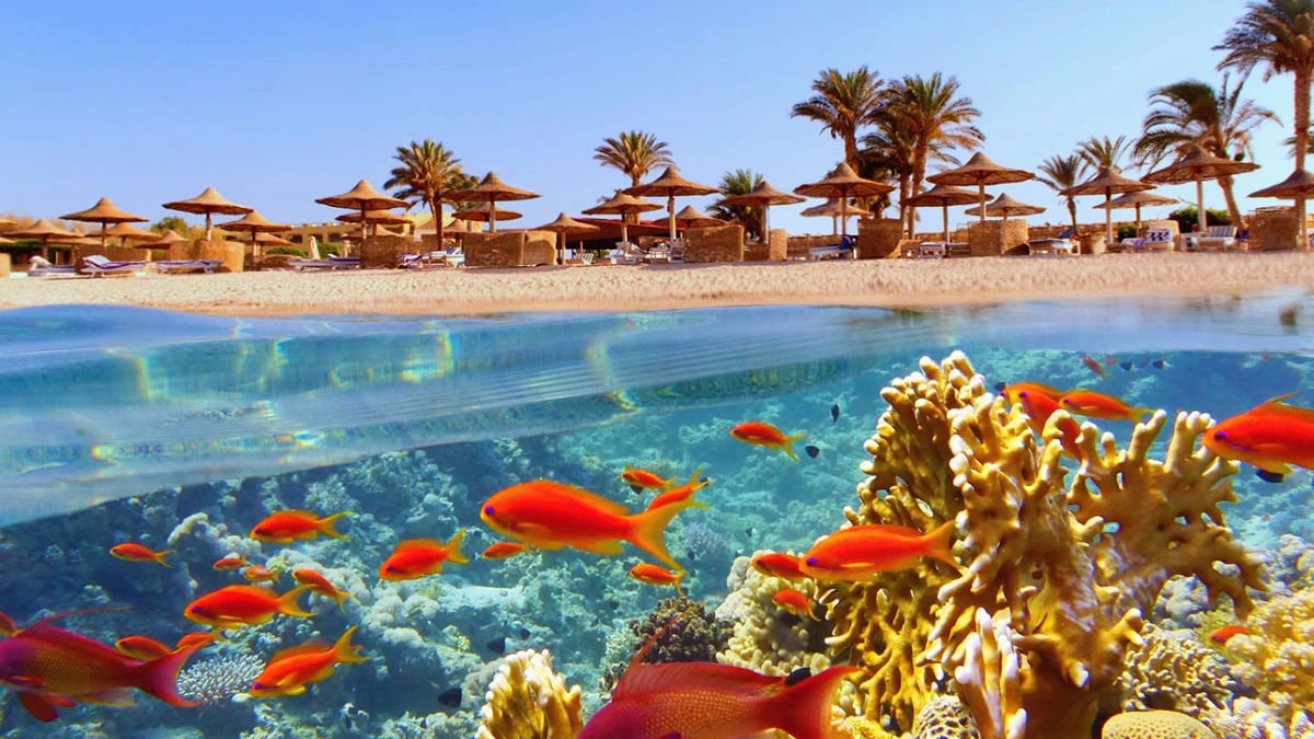 marsa alam 