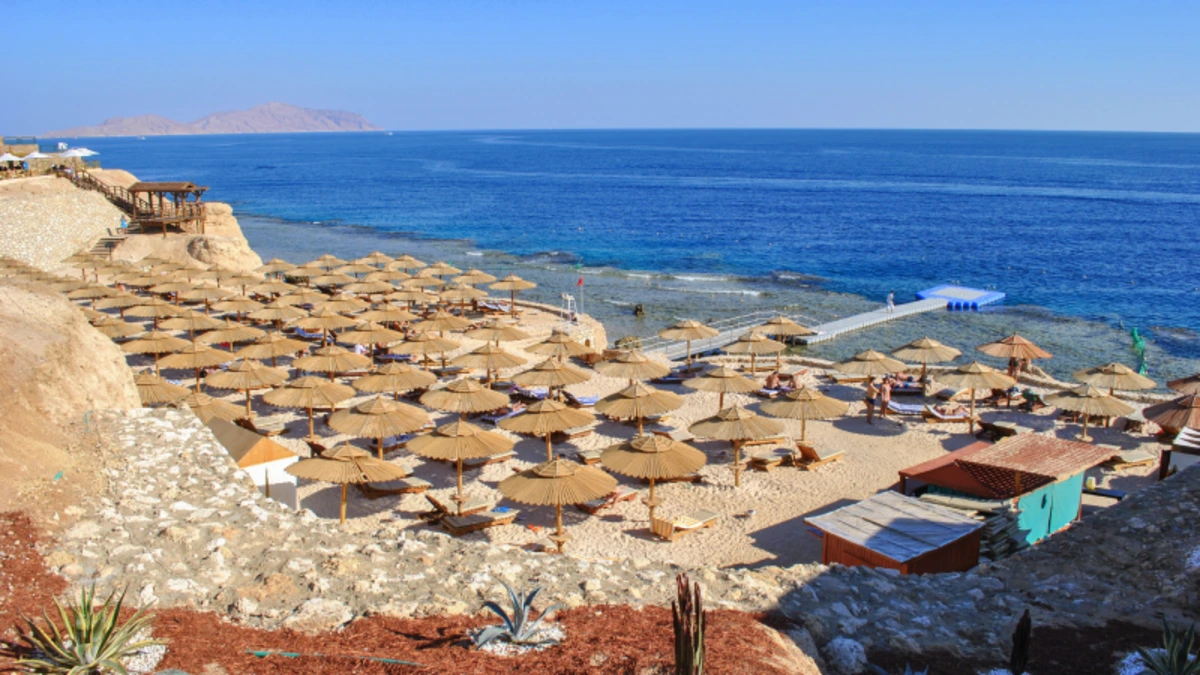 Sahl Hasheesh
