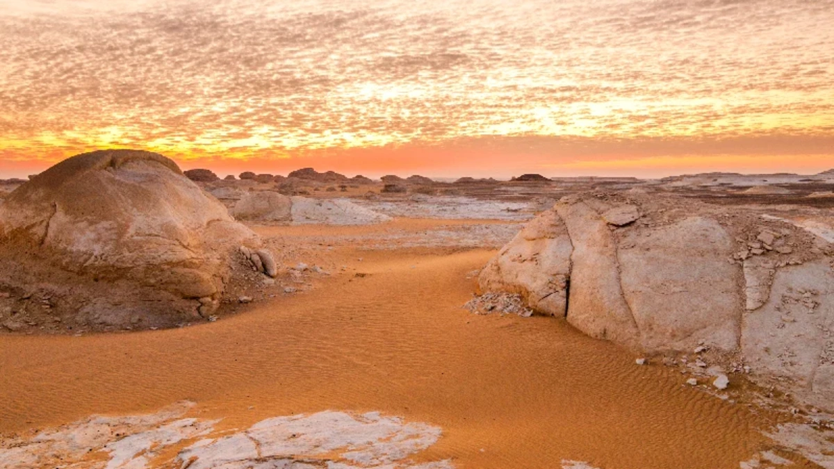 Bahariya-Oase: Magische Wüste voller Geschichte und Natur