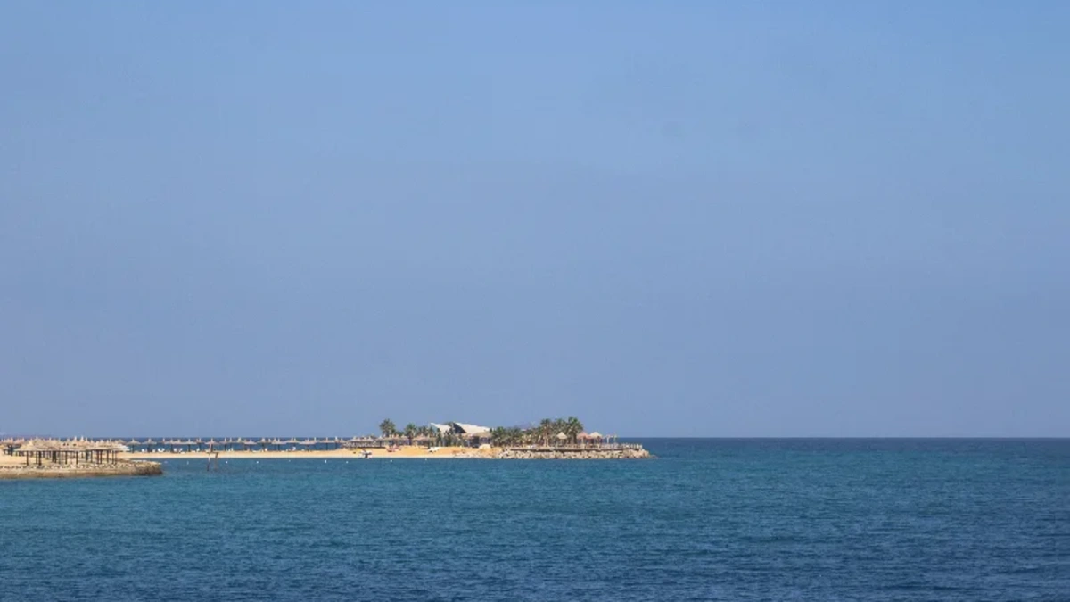 Tropischer Strandblick mit Palmen und klarem Meerwasser