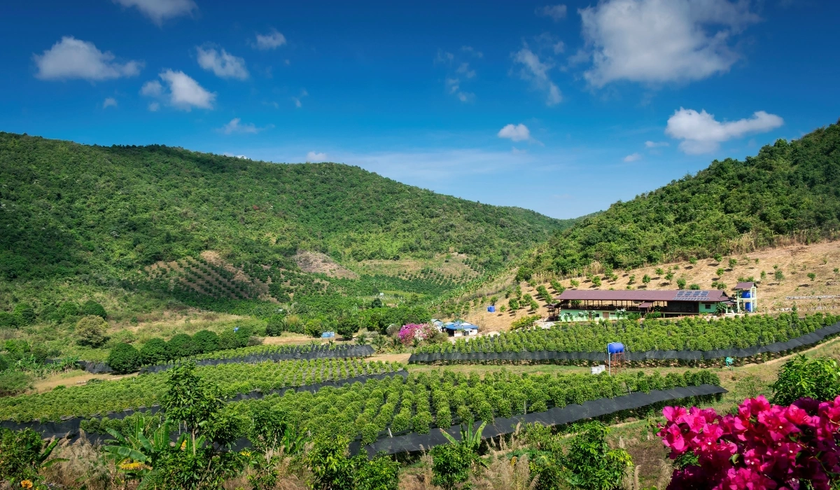 Kampot (Cambodia) - Southeast Asia Hidden Gems