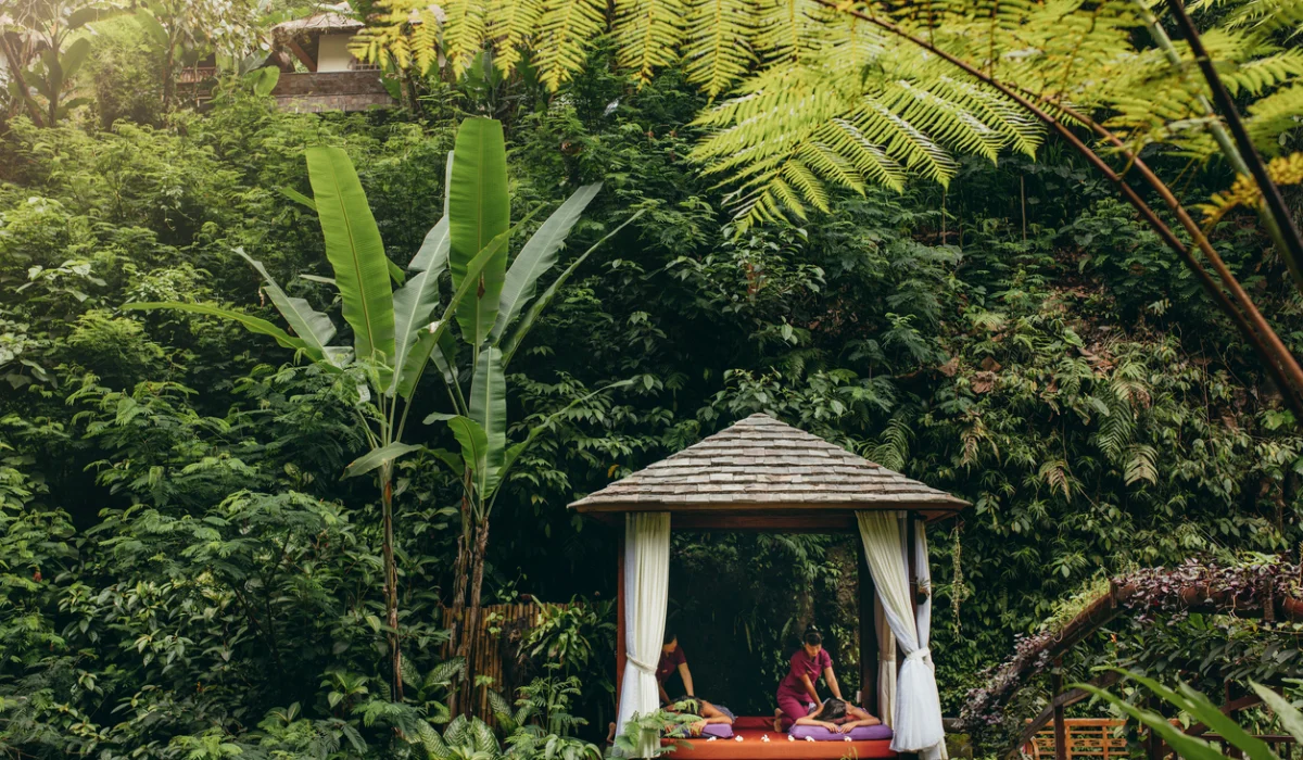 Wellness Tourism 2026