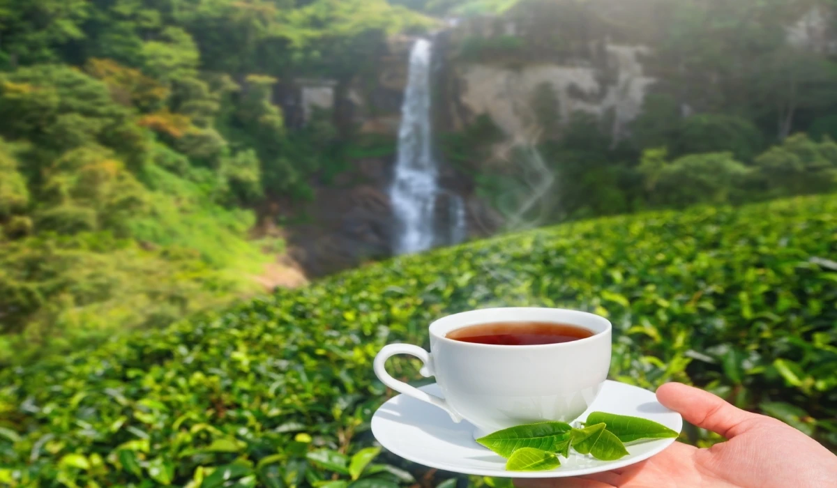 Sri Lanka - Exploring Destinations Through Their Tea Culture