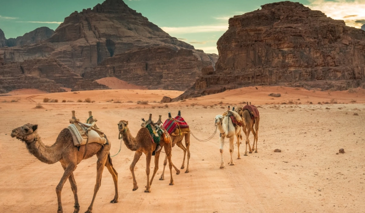 What to Do in Jordan Deserts