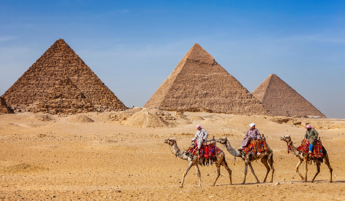 The Camel in Front of the Pyramids, Egypt