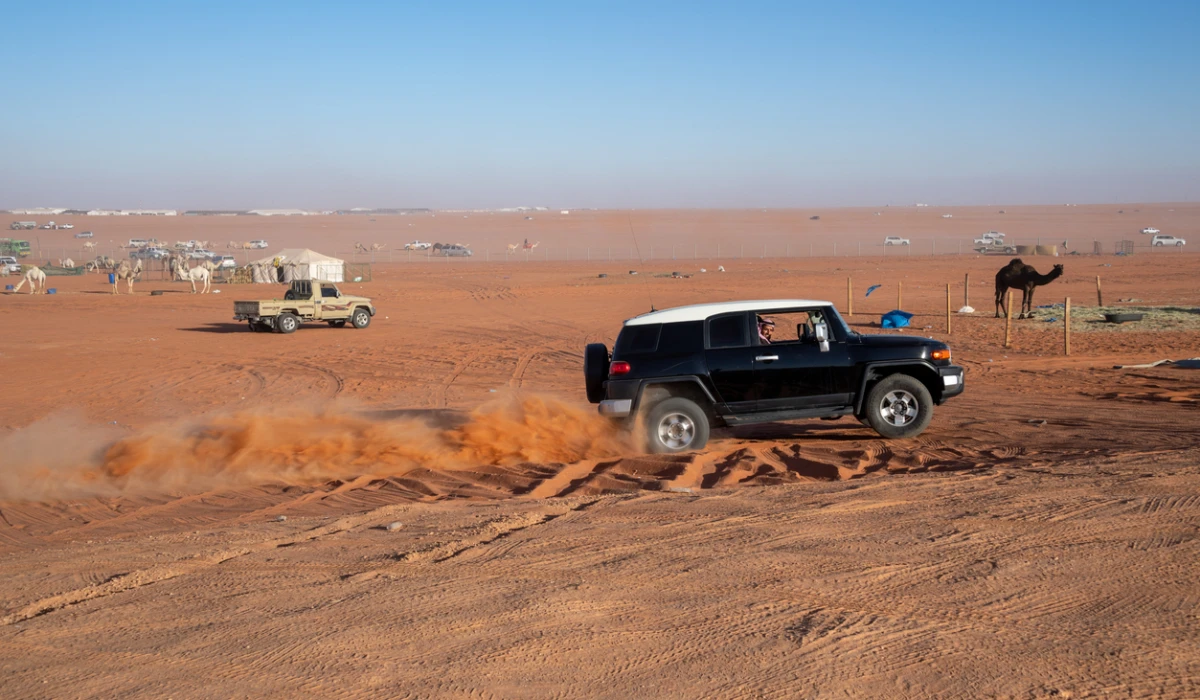 Saudi Arabia’s Jewels: King Abdulaziz Camel Festival, January 2018, in Rimah near Riyadh