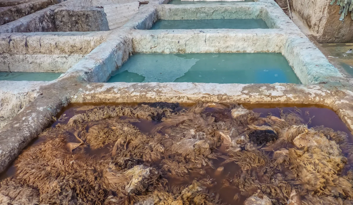 Tannery tanks with skins in Marrakech Morocco