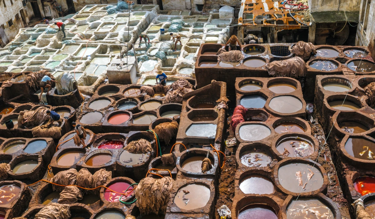 Tannery in Fez, Morocco