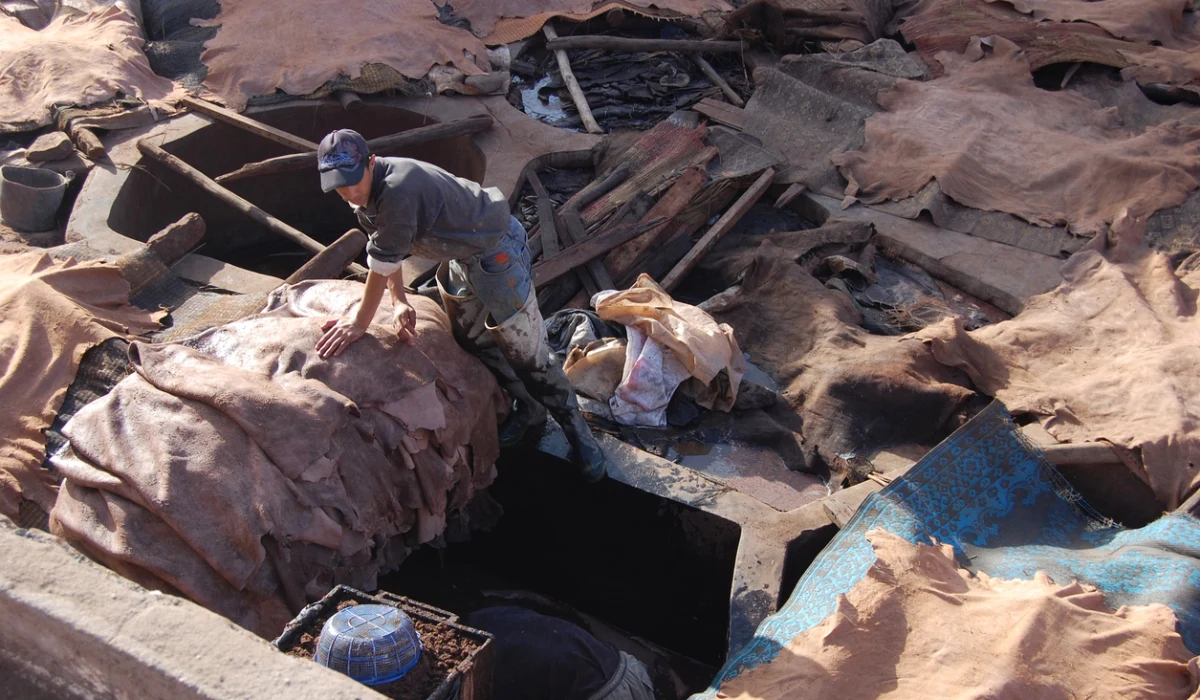 Tannery worker in Marrakesh