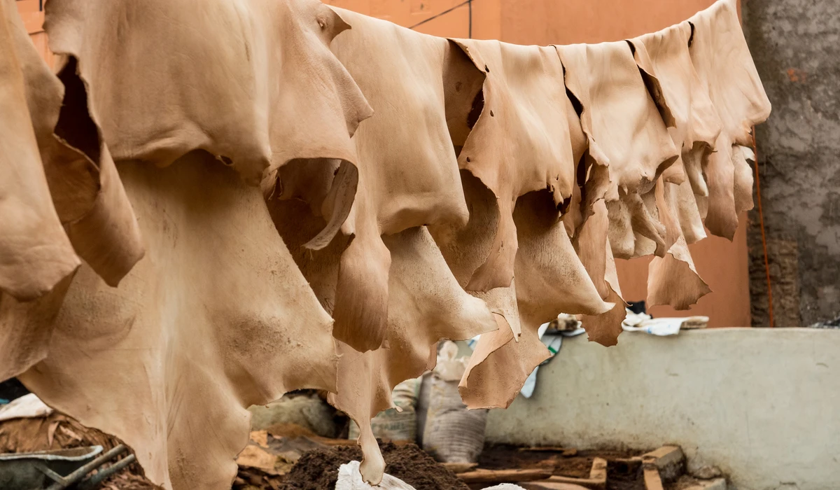 Tannery, Marakech