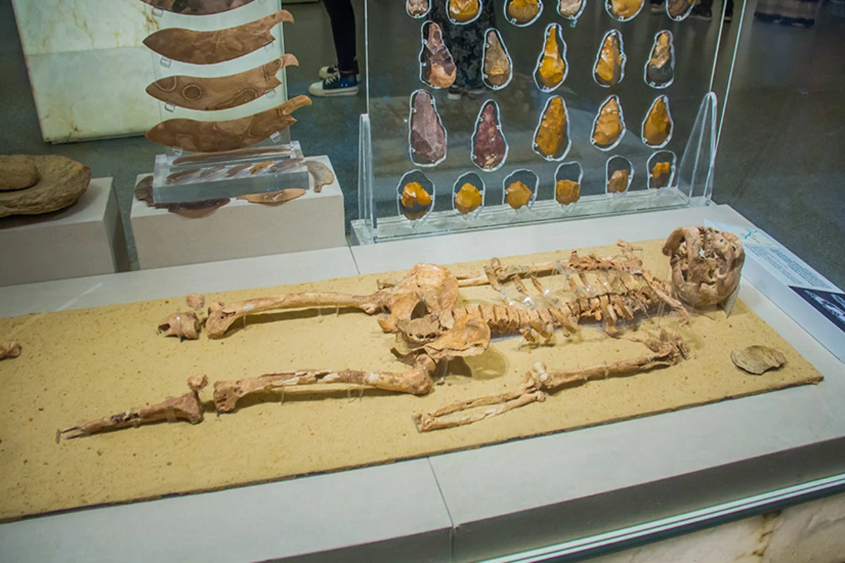 Die alten Ägypter – Pioniere der Medizin und Kunst der Mumifizierung