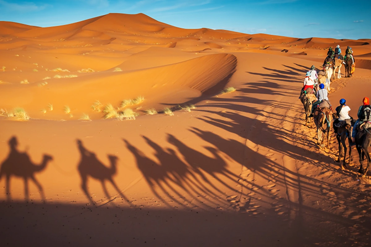 Auf Safari durch die größten Wüsten der Welt