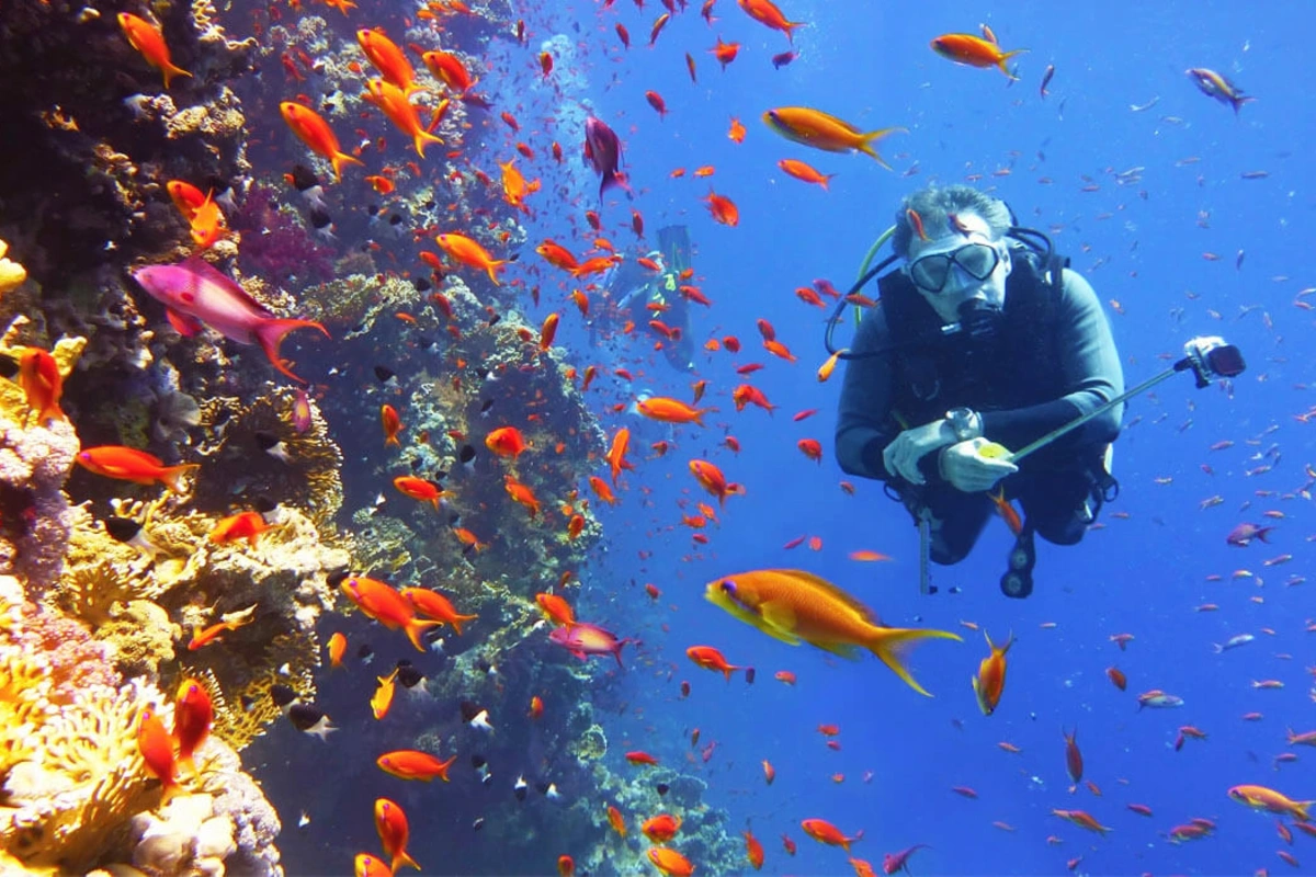 Das Beste von Sharm El Sheikh