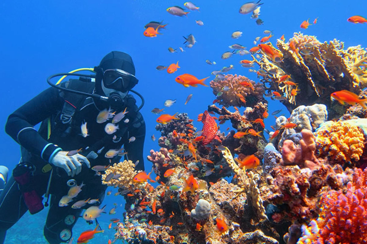 Die besten Schnorchelplätze für einen unvergesslichen Urlaub in Ägypten