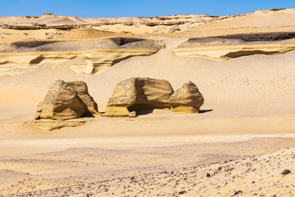 wadi al hitan