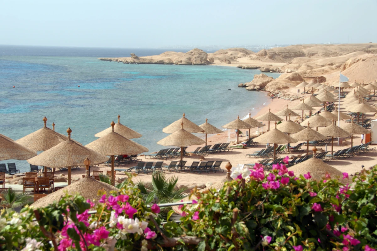 Hotelstrand mit Sonnenschirmen und Bougainvillea am Roten Meer