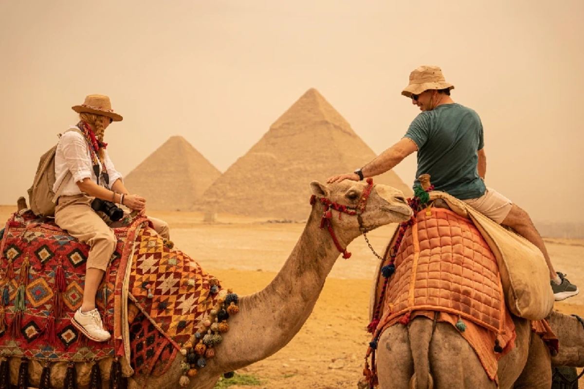 Dromedare am Fuß der Pyramiden von Gizeh in Ägypten