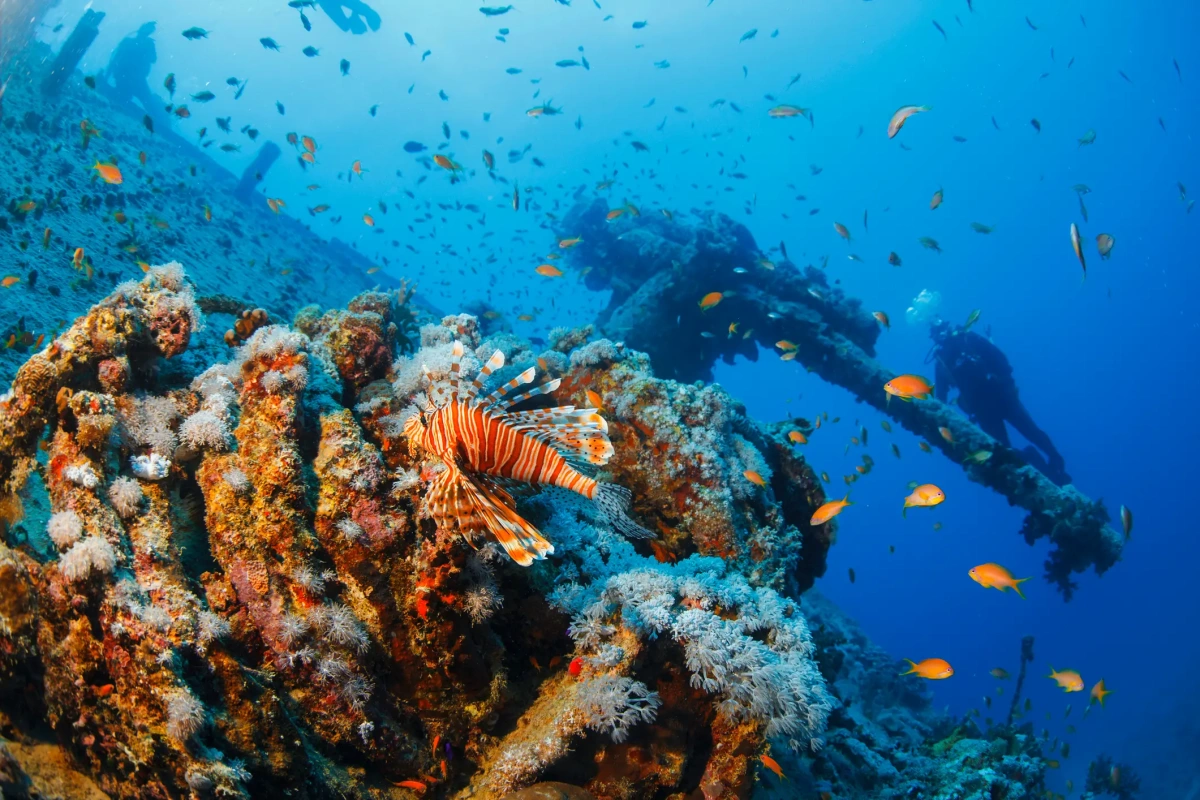 Clear Red Sea water and coral reefs at Ras Mohammed National Park near Sharm El Sheikh