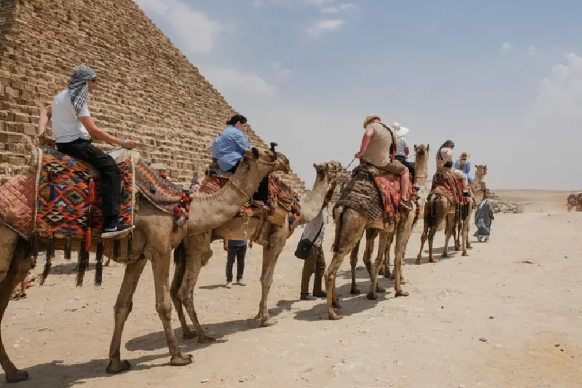 Caravana turística de camellos en la zona de las Pirámides de Guiza, El Cairo , Viajes Organizados a Egipto