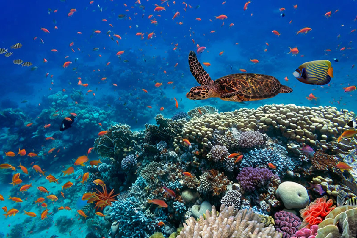 Marsa Alam
