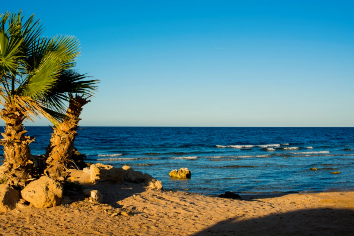 Sahl Hasheesh