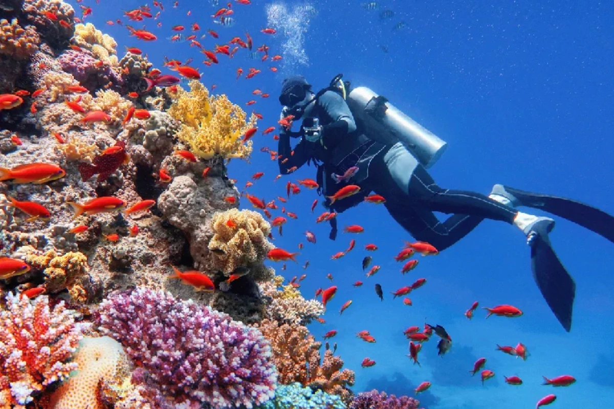 Tauchen im Roten Meer
