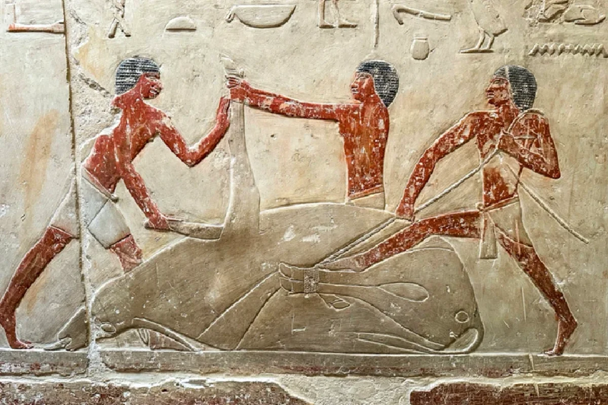 Die Nekropole von Sakkara in Ägypten.