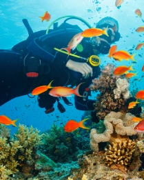 Buceador explorando arrecife de coral con peces tropicales en el Mar Rojo