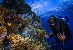 la mer Rouge Hurghada