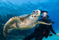 marsa alam egypte