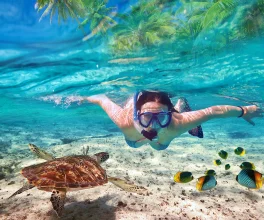 ägypten reise buchen