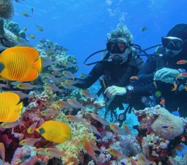 Vacanze in Egitto a Natale, due persone sotto il mare