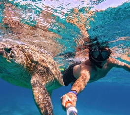 un uomo e una tartaruga, tour egitto piramidi e mare