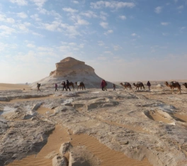 Oasi Egitto, UN GRUPPO CON CAMMELLI AL DESERTO