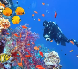 Uomo che fa Snorkelling a sharm, tour egitto e petra